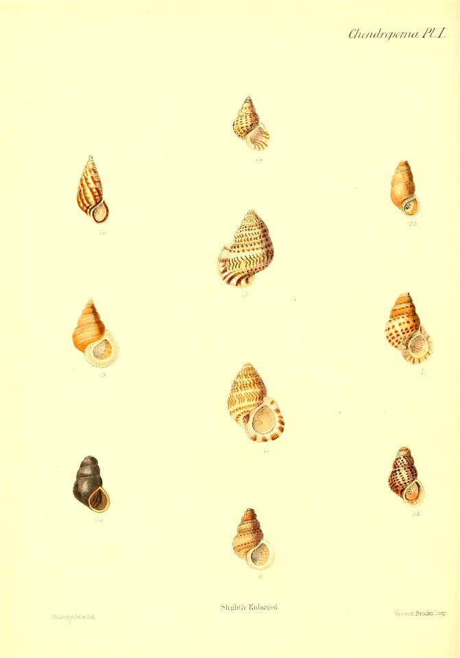 n181_w1150