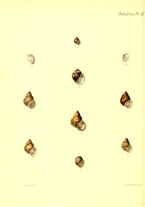 n109_w1150