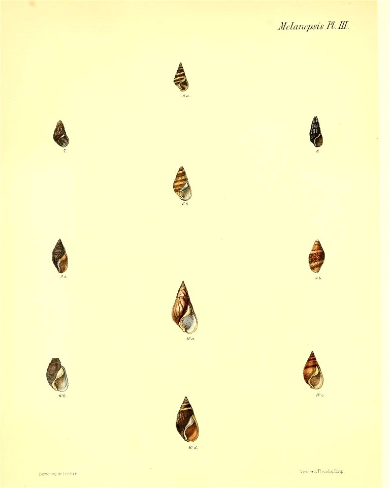 n549_w1150