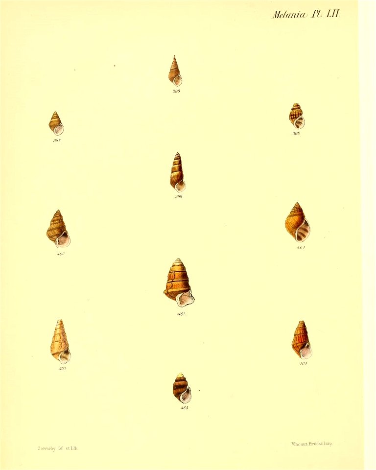 n407_w1150