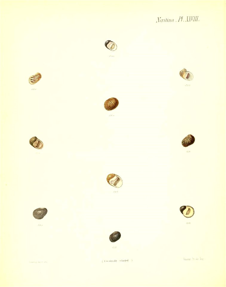 n195_w1150