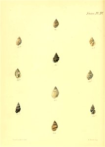 n591_w1150