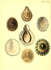 n407_w1150