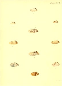 n343_w1150