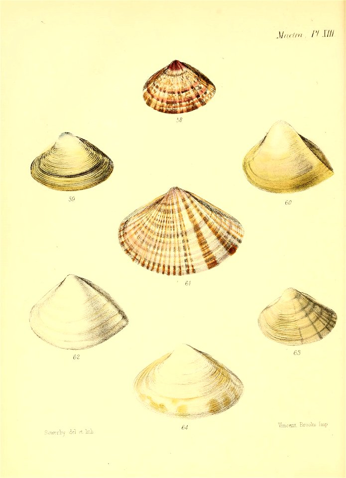 n207_w1150