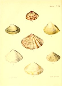 n207_w1150
