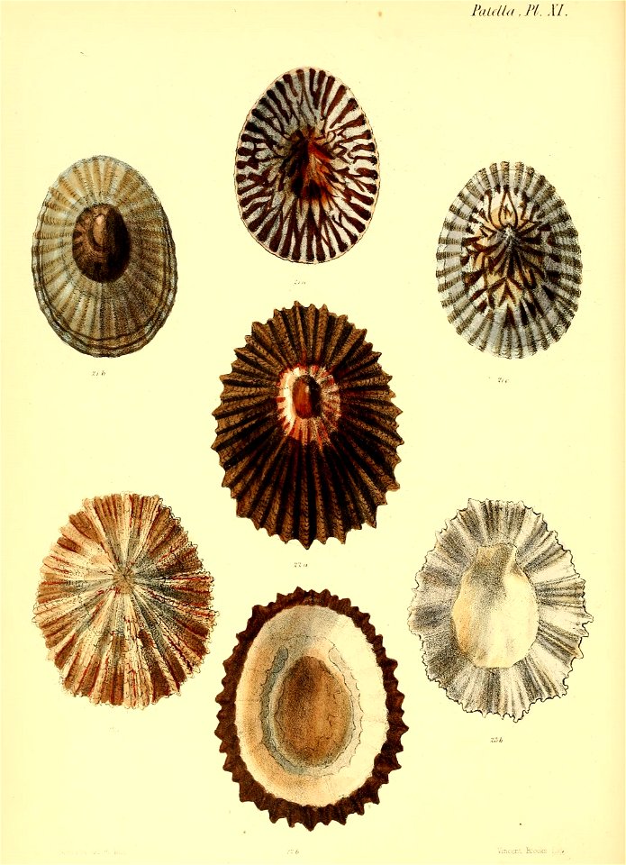 n403_w1150