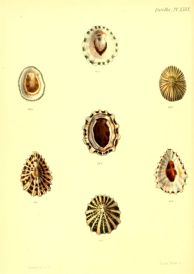 n463_w1150