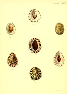 n463_w1150
