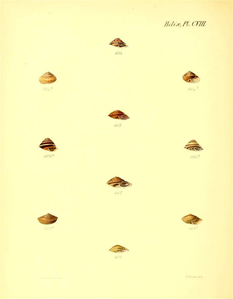 n439_w1150
