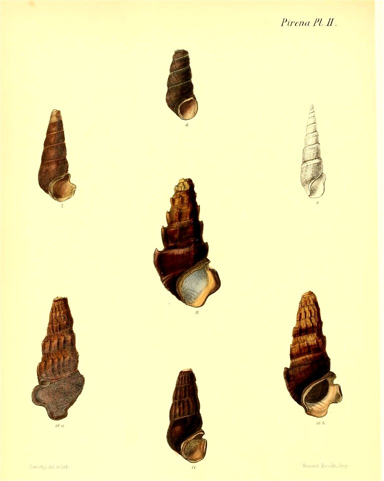 n535_w1150
