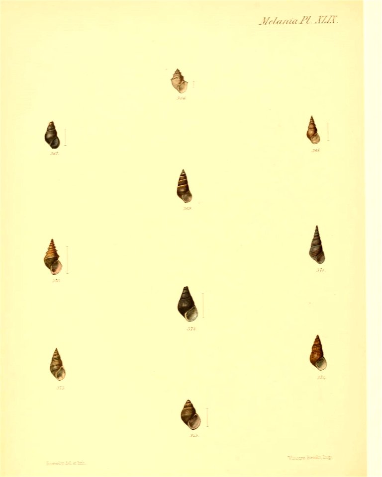 n395_w1150