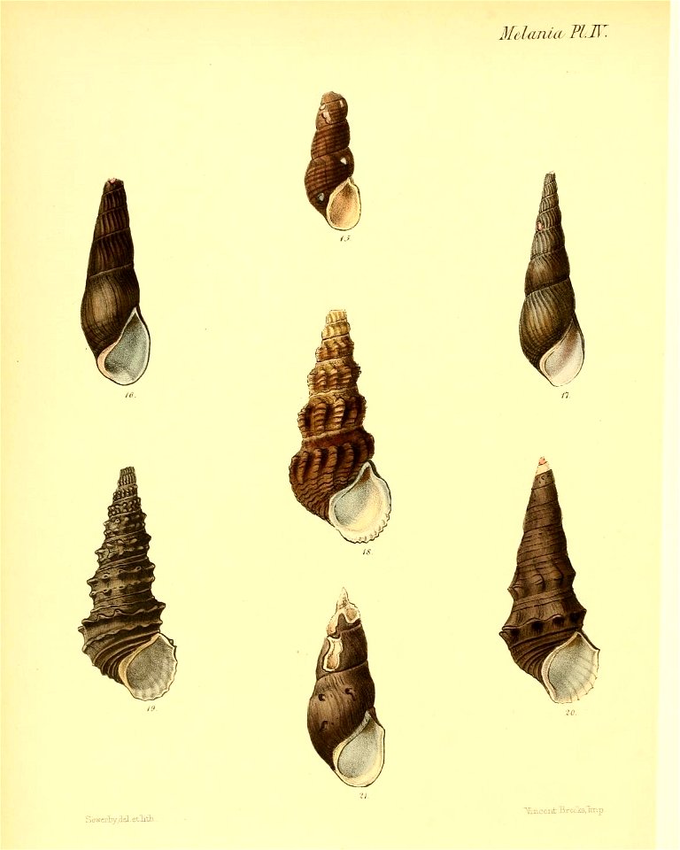 n215_w1150