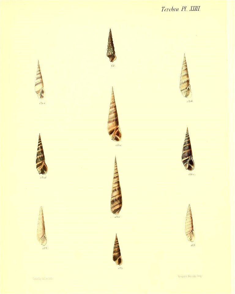 n143_w1150
