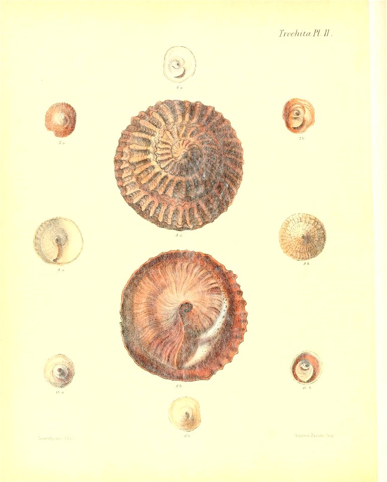 n505_w1150