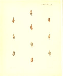 n365_w1150