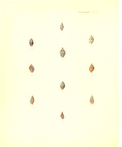 n305_w1150