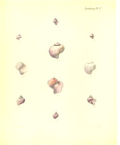 n241_w1150