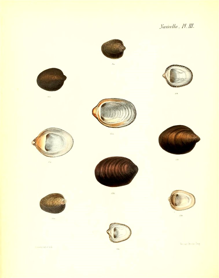n371_w1150