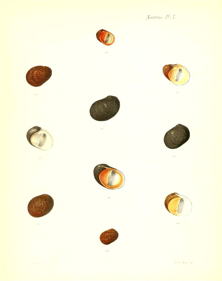 n123_w1150