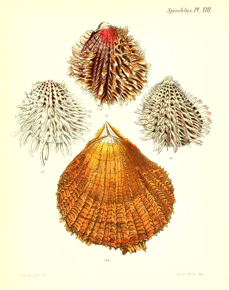 n59_w1150