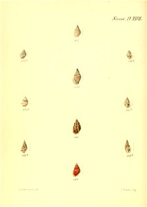 n639_w1150