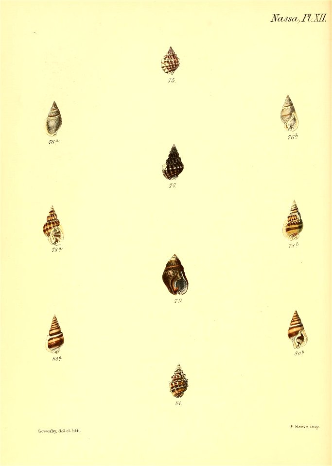 n579_w1150