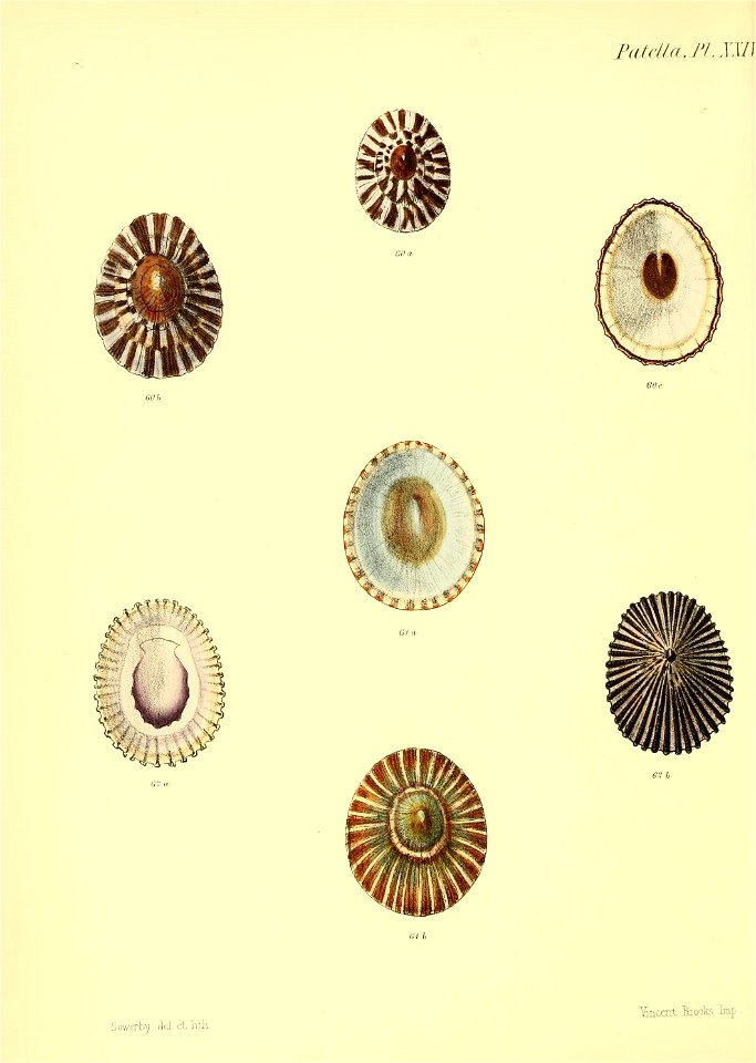n455_w1150