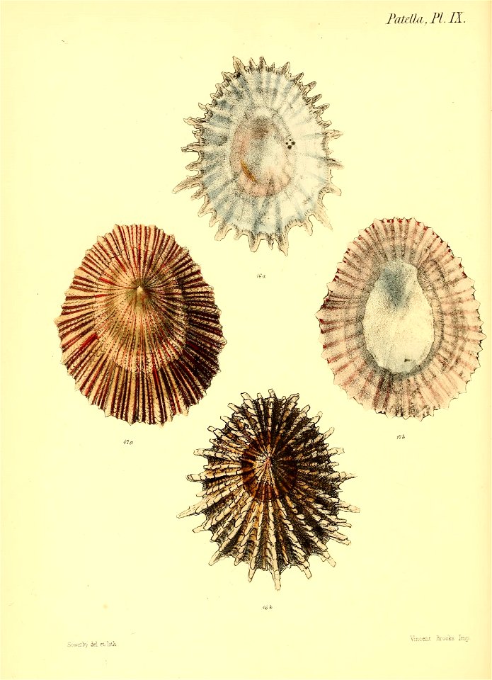 n395_w1150