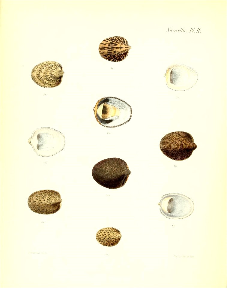 n367_w1150