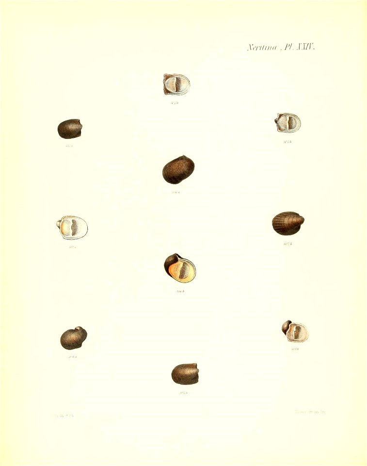 n179_w1150