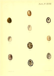 n511_w1150