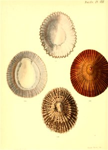 n391_w1150