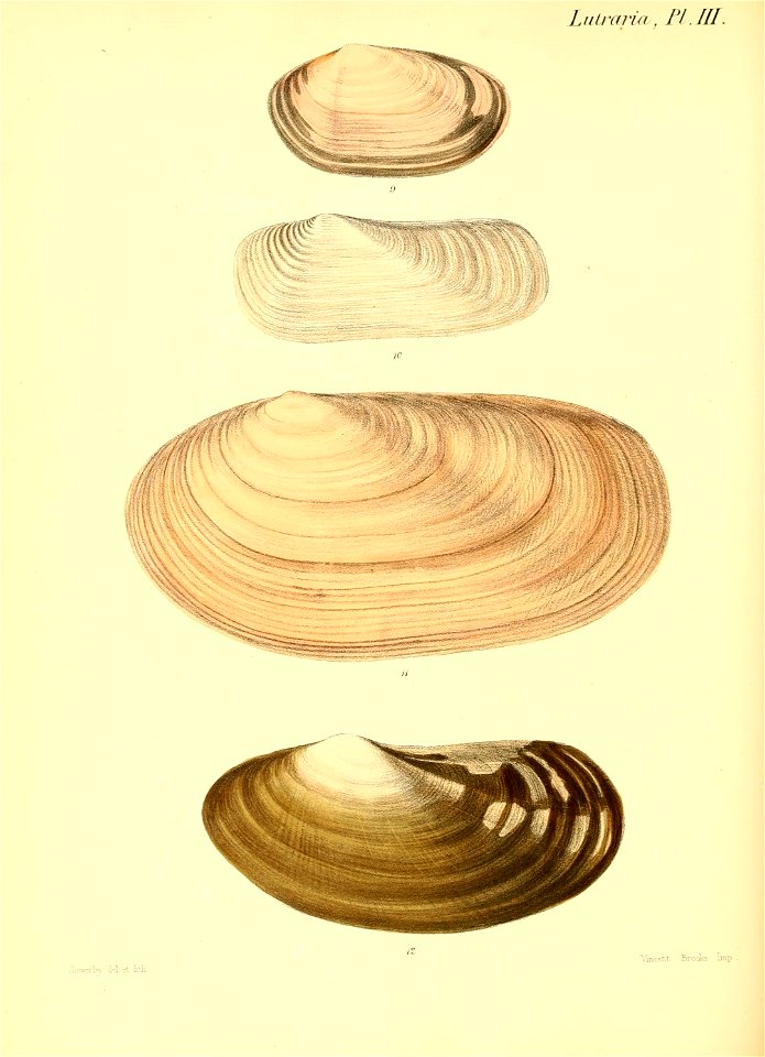 n255_w1150