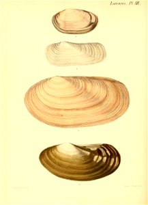 n255_w1150