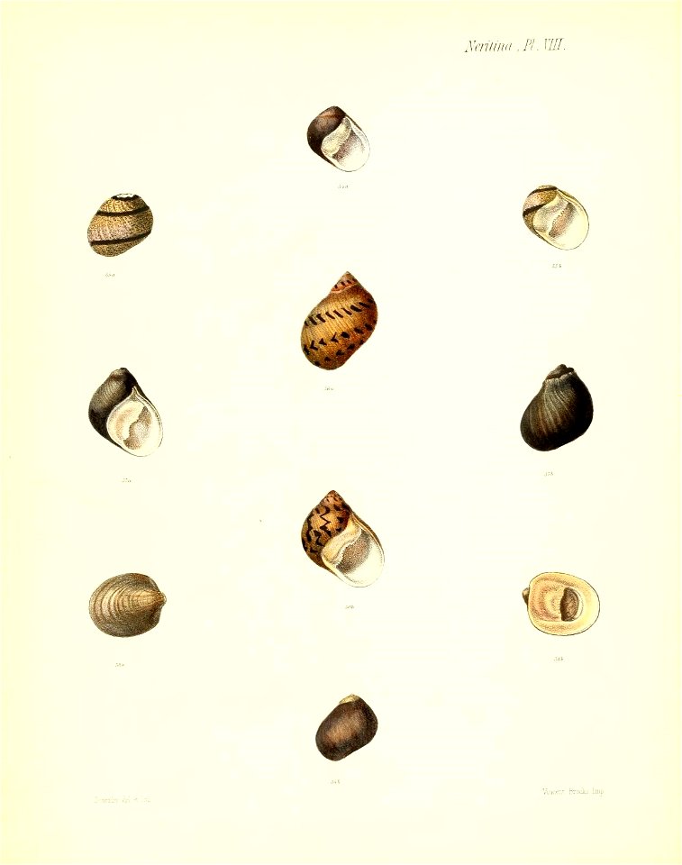 n115_w1150