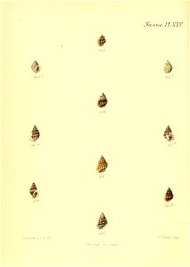 n631_w1150