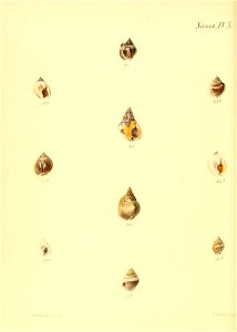 n571_w1150