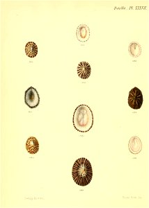 n507_w1150