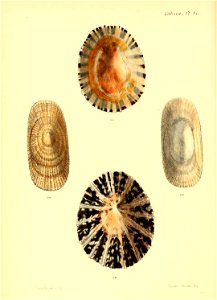 n387_w1150