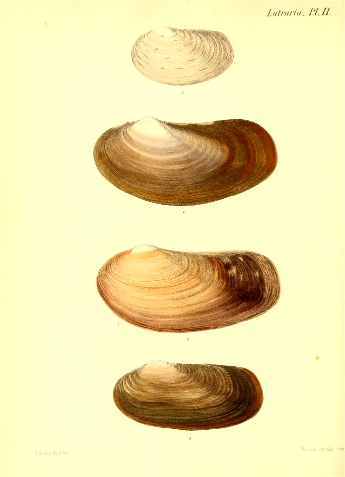 n251_w1150