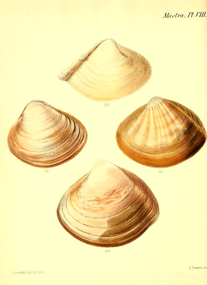 n187_w1150