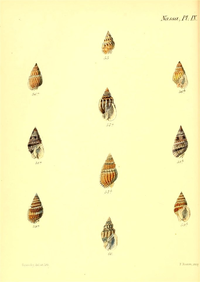 n567_w1150