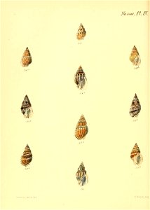 n567_w1150