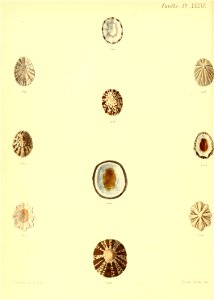 n503_w1150