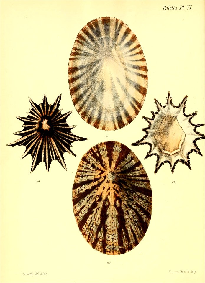 n383_w1150