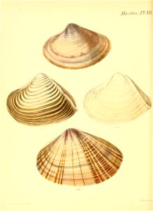 n183_w1150