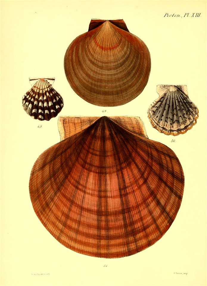 n59_w1150