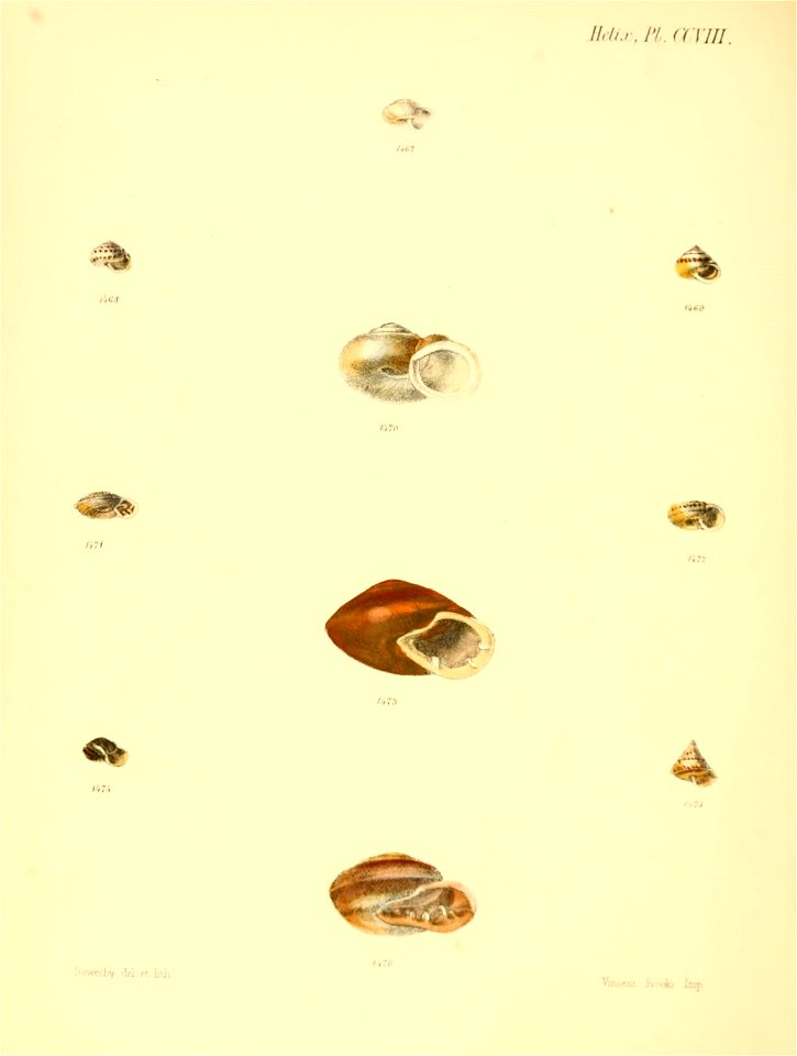n867_w1150