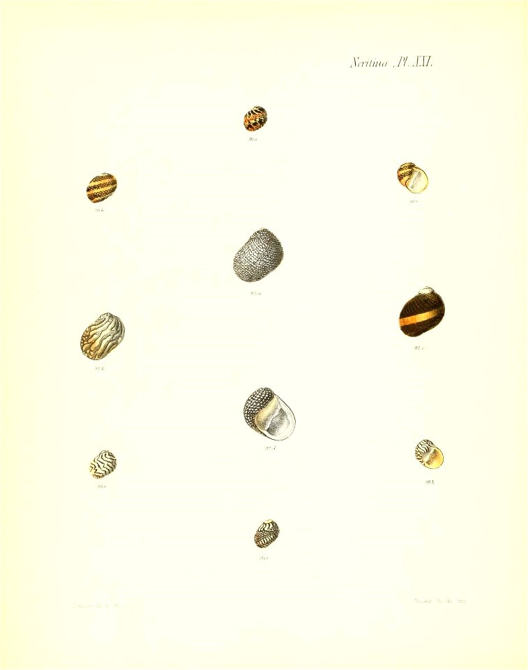 n167_w1150